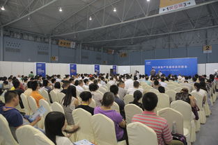 2016成都建博會 現(xiàn)場亮點(diǎn)紛呈，6月將上演重頭戲